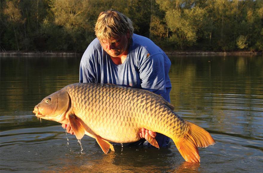 http://www.addicttackle.com.au/cdn/shop/articles/catching-carp-on-bait-addict-tackle.jpg?v=1709101608
