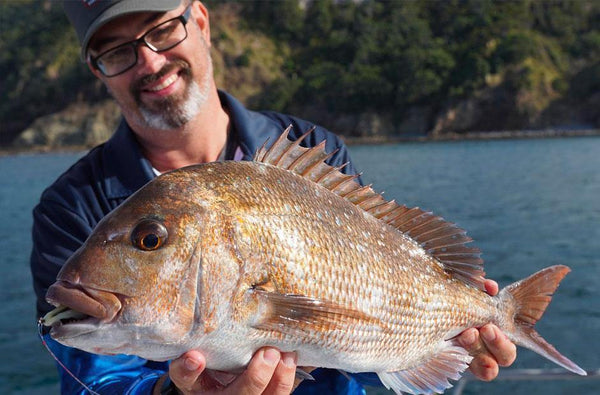 How to troll for snapper - The Fishing Website