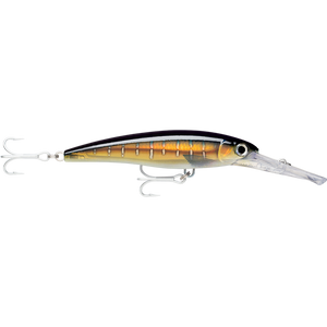 Rapala X-Rap Magnum Divebait Trolling Lure 16cm - XRMAG30