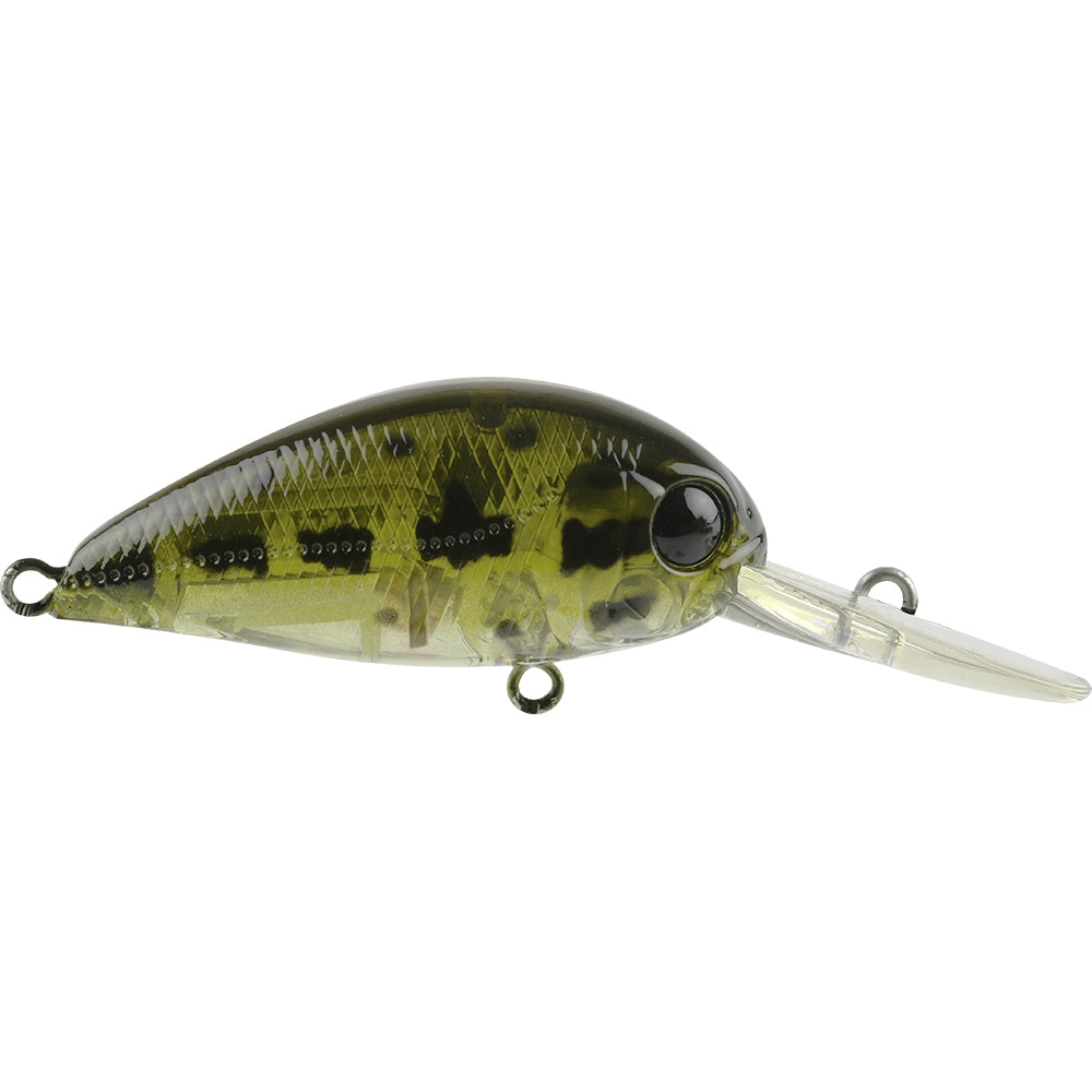 History of Damper Diver Lures - LURELOVERS Australian Fishing Lure